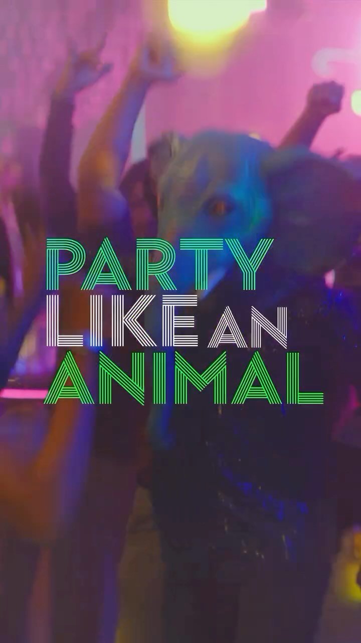 491441459_17849868321444314_6813385158155509111_n